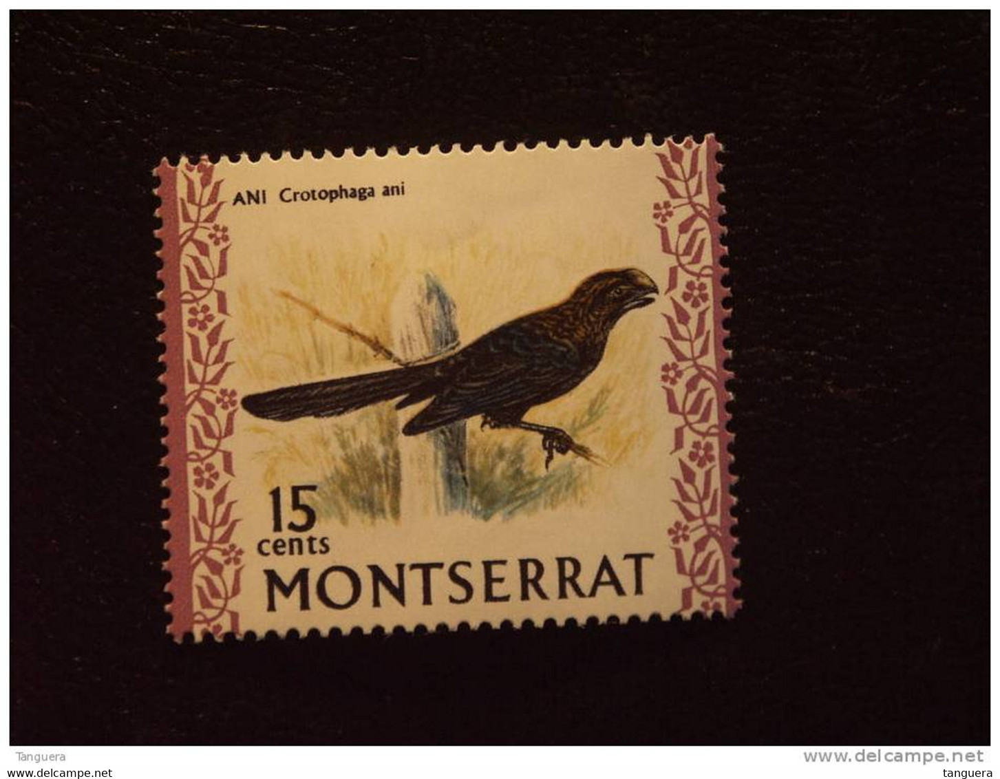 Montserrat Crotophaga Ani Yv 237 MNH ** - Cuckoos & Turacos