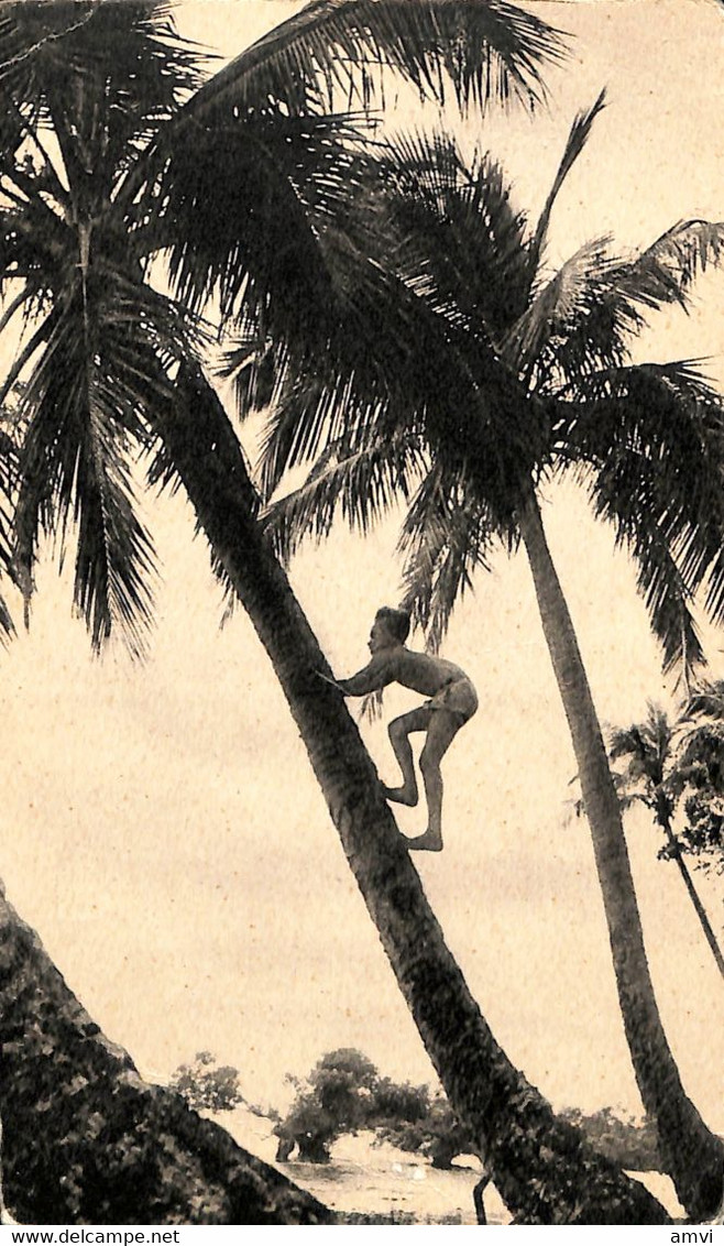 22- 7 - 1692 Nouvelle Caledonie  Dans Le Sillage De Bougainville Cocotiers ( Plis) - Storia Postale