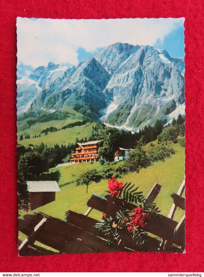 AK: Mühlbach Am Hochkönig - Alpengasthof - Bergheimat, Gelaufen 24. 7. 1967 (Nr.3800) - Mühlbach Am Hochkönig