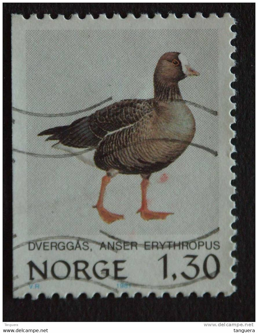 Noorwegen Norvege 1981 Gans Oie  Yv 783 O - Ganzen