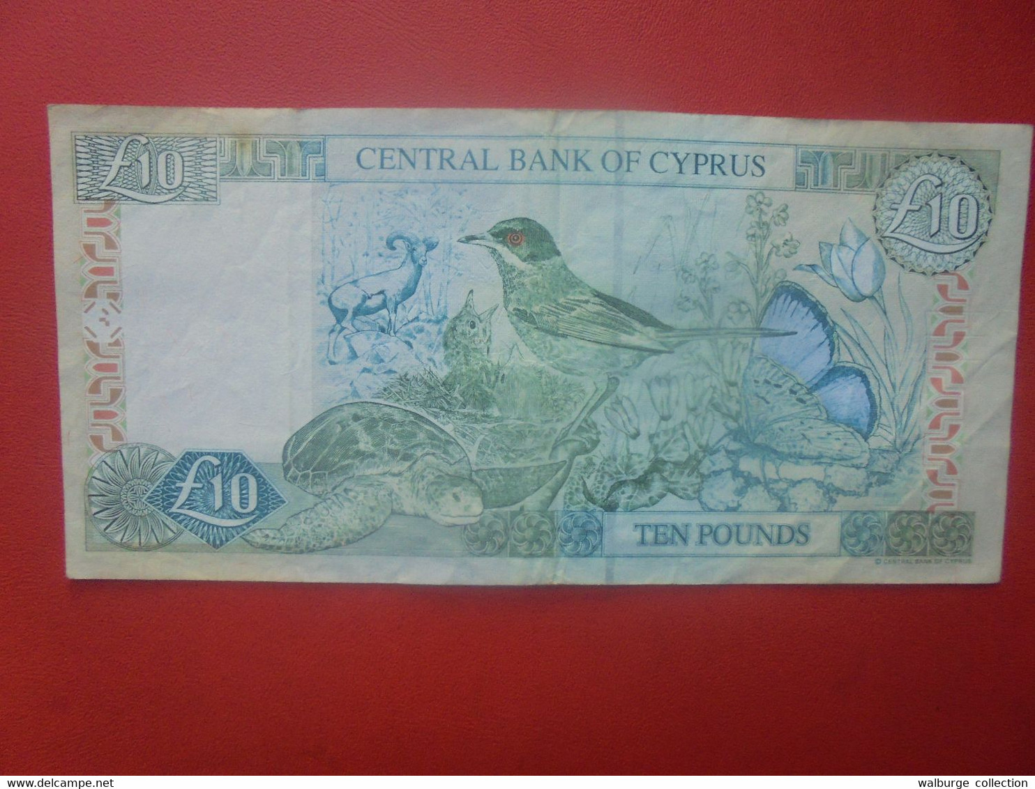 CHYPRE 10 POUNDS 1997 Circuler (L.6) - Chypre