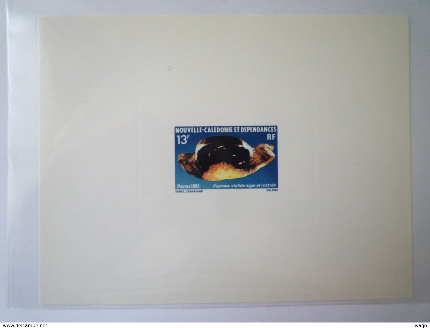 2022 - 3246  NOUVELLE CALEDONIE  :  EMISSION  LUXE  1981  CYPRAEA STOLIDA   XXX - Covers & Documents