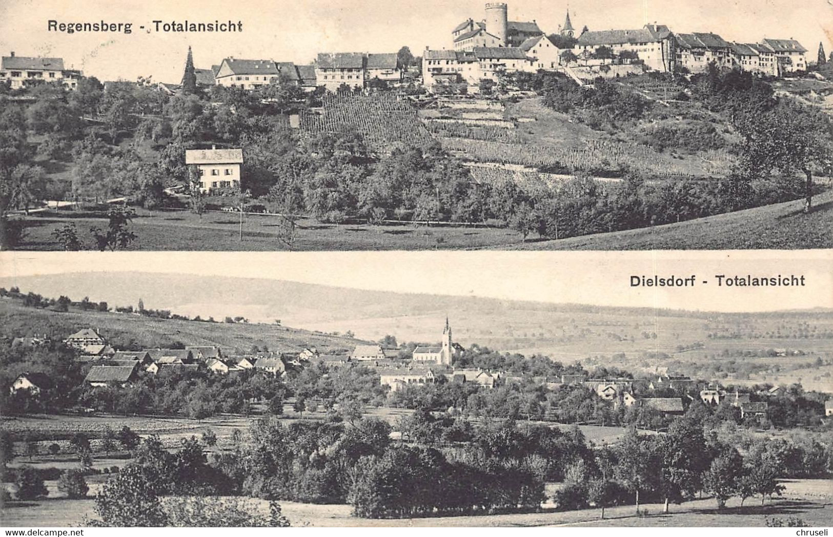 Regensberg  Dielsdorf  2 Bild - Dielsdorf