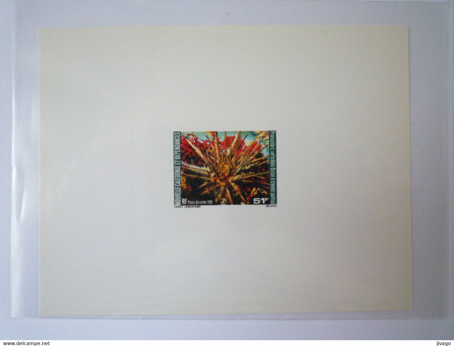 2022 - 3251  NOUVELLE CALEDONIE  :  EMISSION  LUXE  P.A.  1981  OURSIN à Crayons Pointus   XXX - Covers & Documents