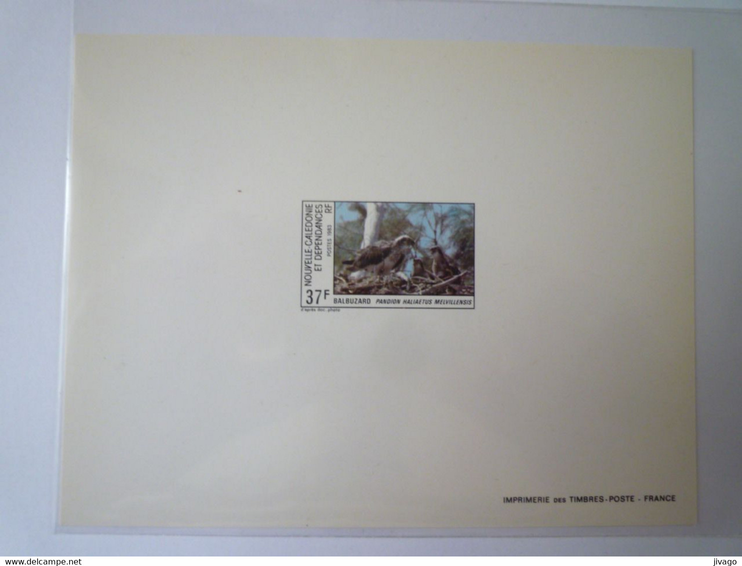 2022 - 3262  NOUVELLE CALEDONIE  :  EMISSION  LUXE  1983   BALBUZARD  XXX - Cartas & Documentos