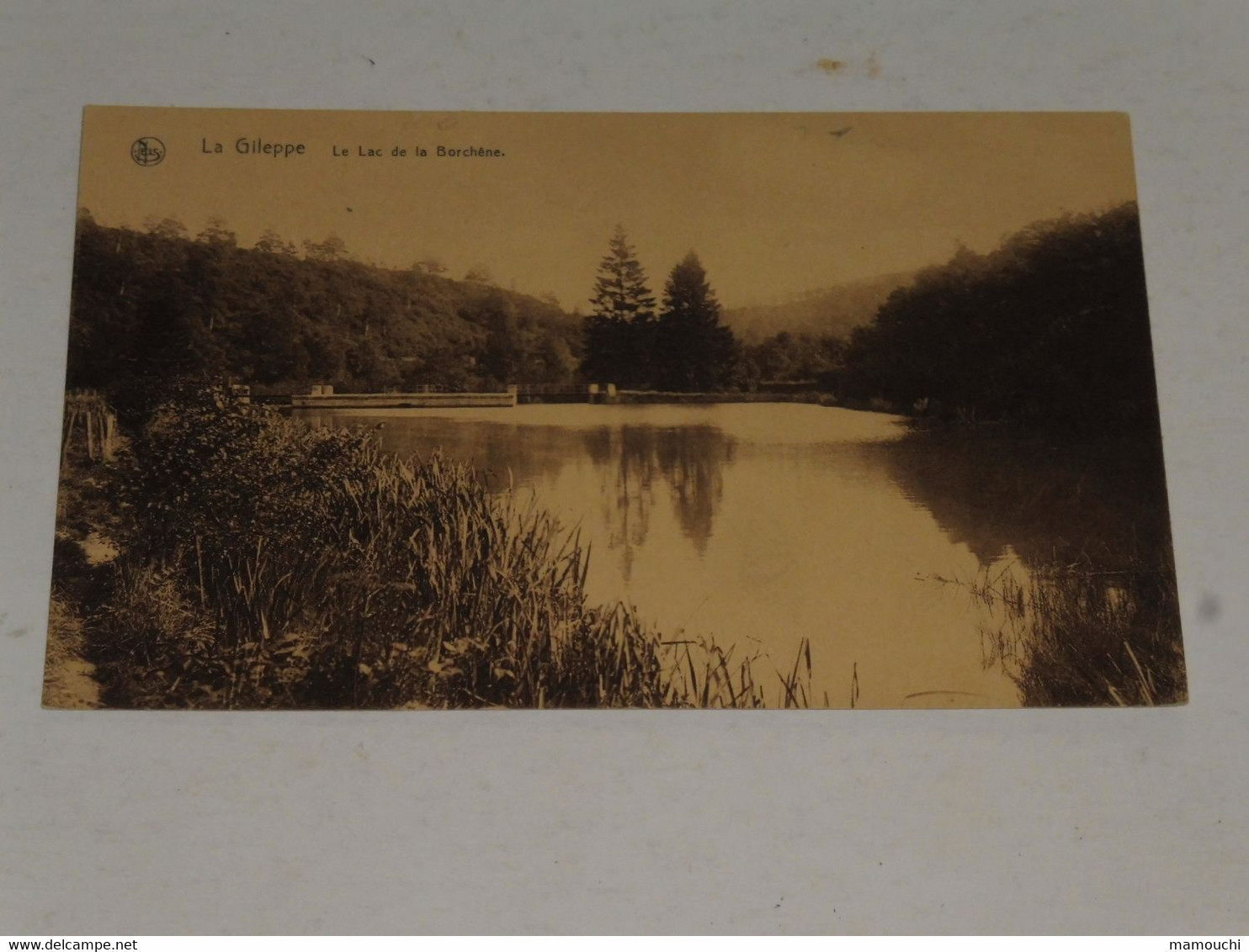 Gileppe -Le Lac De La BORCHENE . - Gileppe (Barrage)