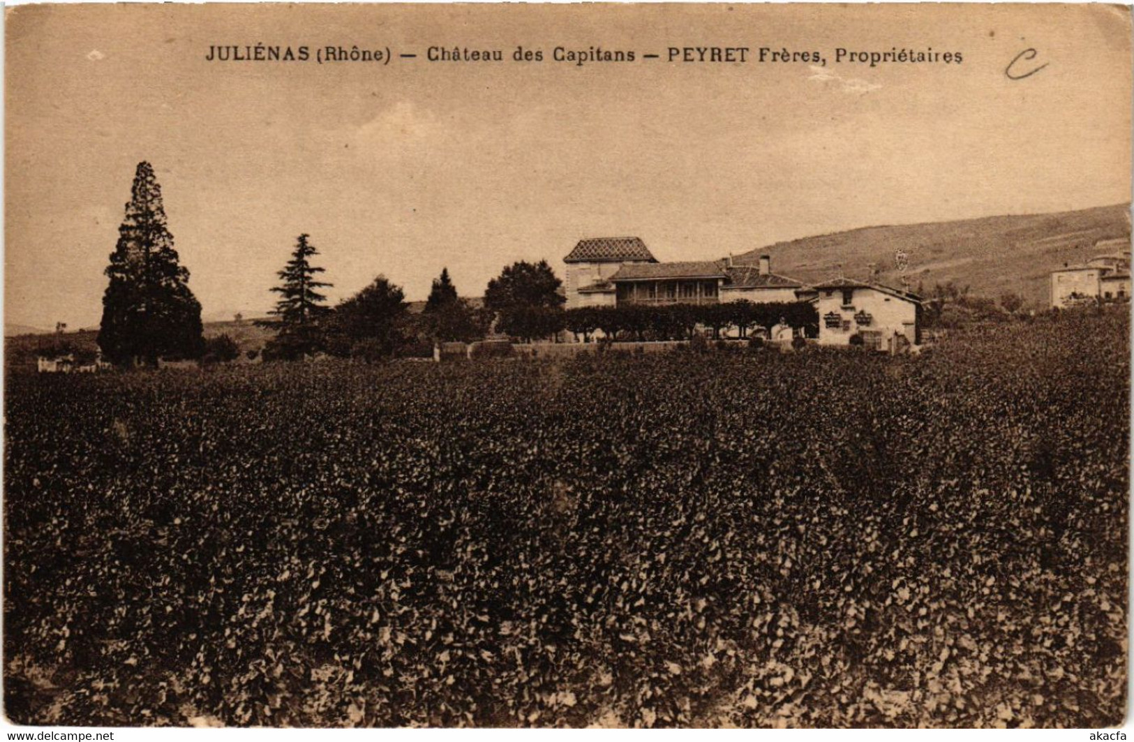 CPA JULIENAS Chateau Des CAPITANS Peyret Freres Porpr. (462620) - Julienas