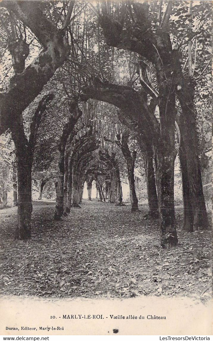 CPA - 78 - MARLY LE ROI - Vieille Allée Du Château - Forêt - Arbres - Marly Le Roi