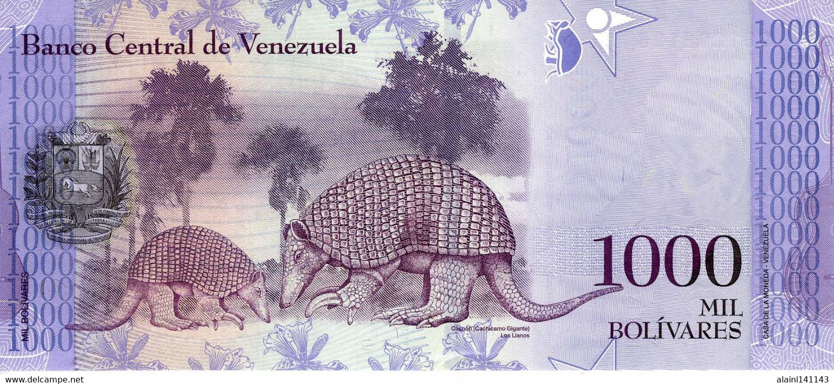 VENEZUELA - Banco Central De Venezuela - 1.000 Bolivares 25-03-2017 - Série C 81202126 - P.95b - UNC - Other - America