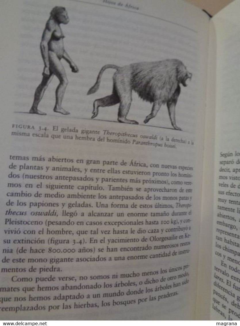 La especie elegida. La larga marcha de la evolución humana. Juan Luís Arsuaga y Ignacio Martínez. 1999. 359 pp.