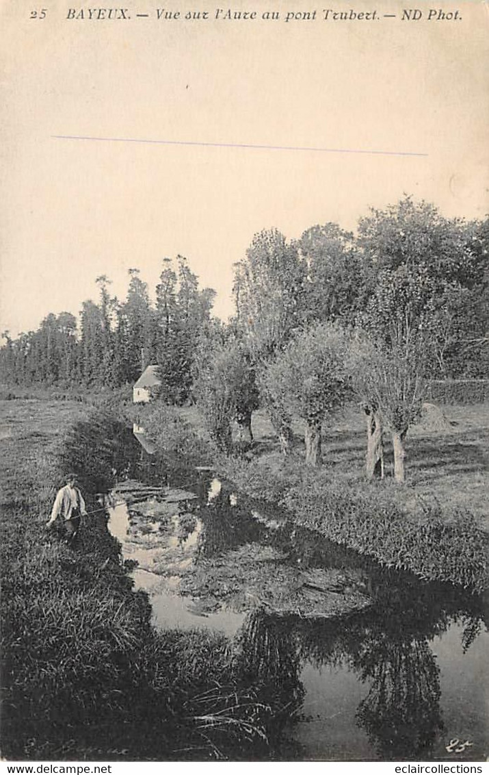 Bayeux        14          Vue Sur L'Aure Du Pont Trubert      (voir Scan) - Bayeux