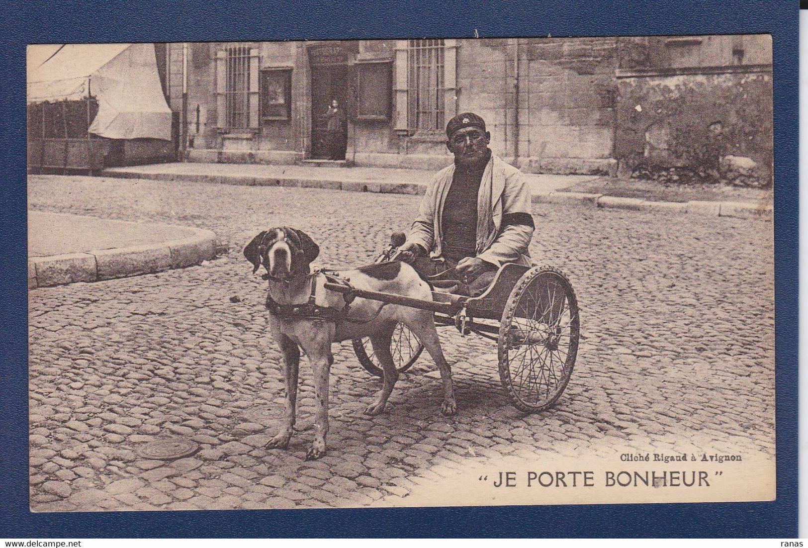 CPA Voiture à Chien Attelage Avignon Non Circulé - Avignon