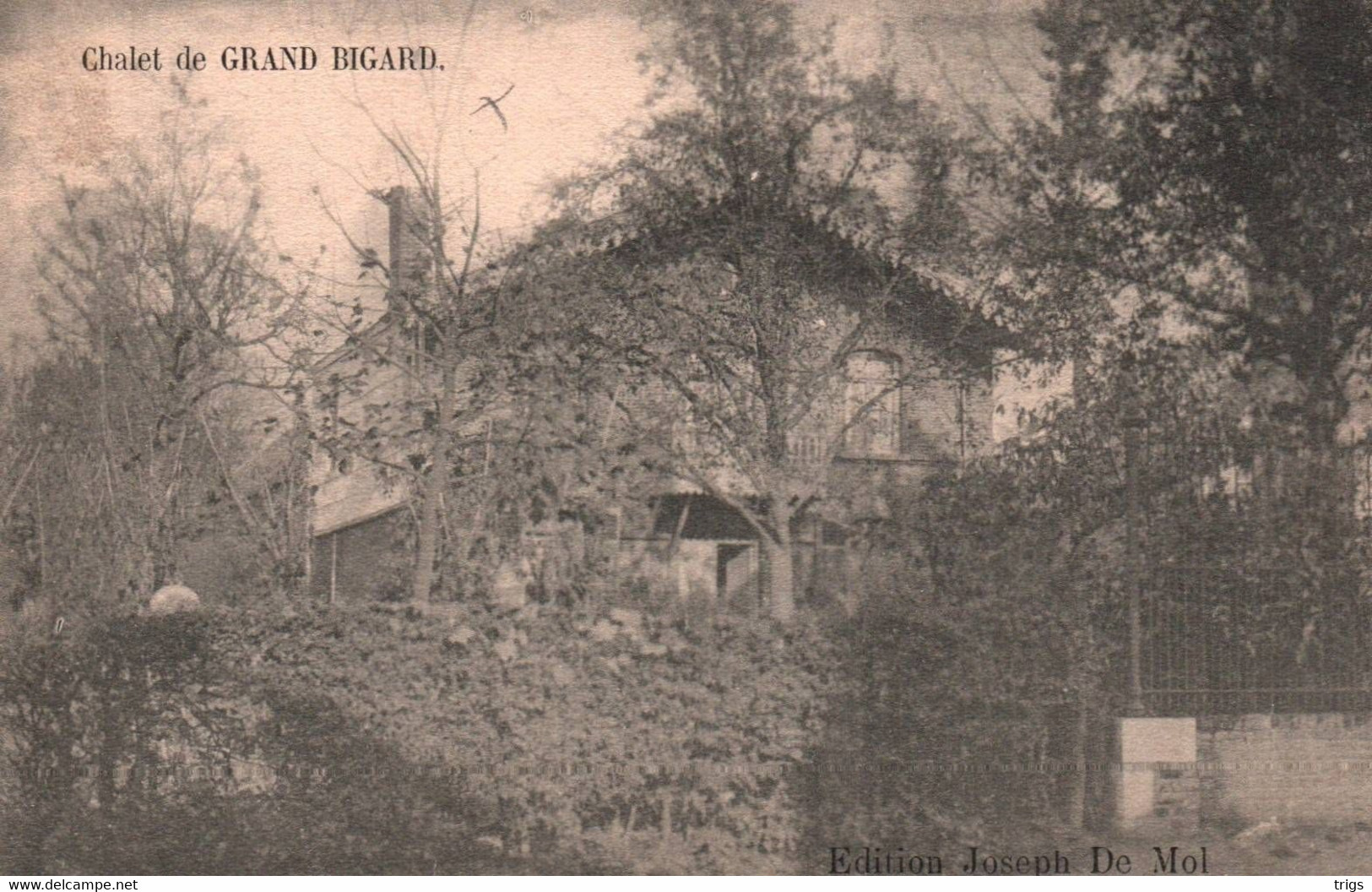 Grand Bigard - Châlet - Dilbeek