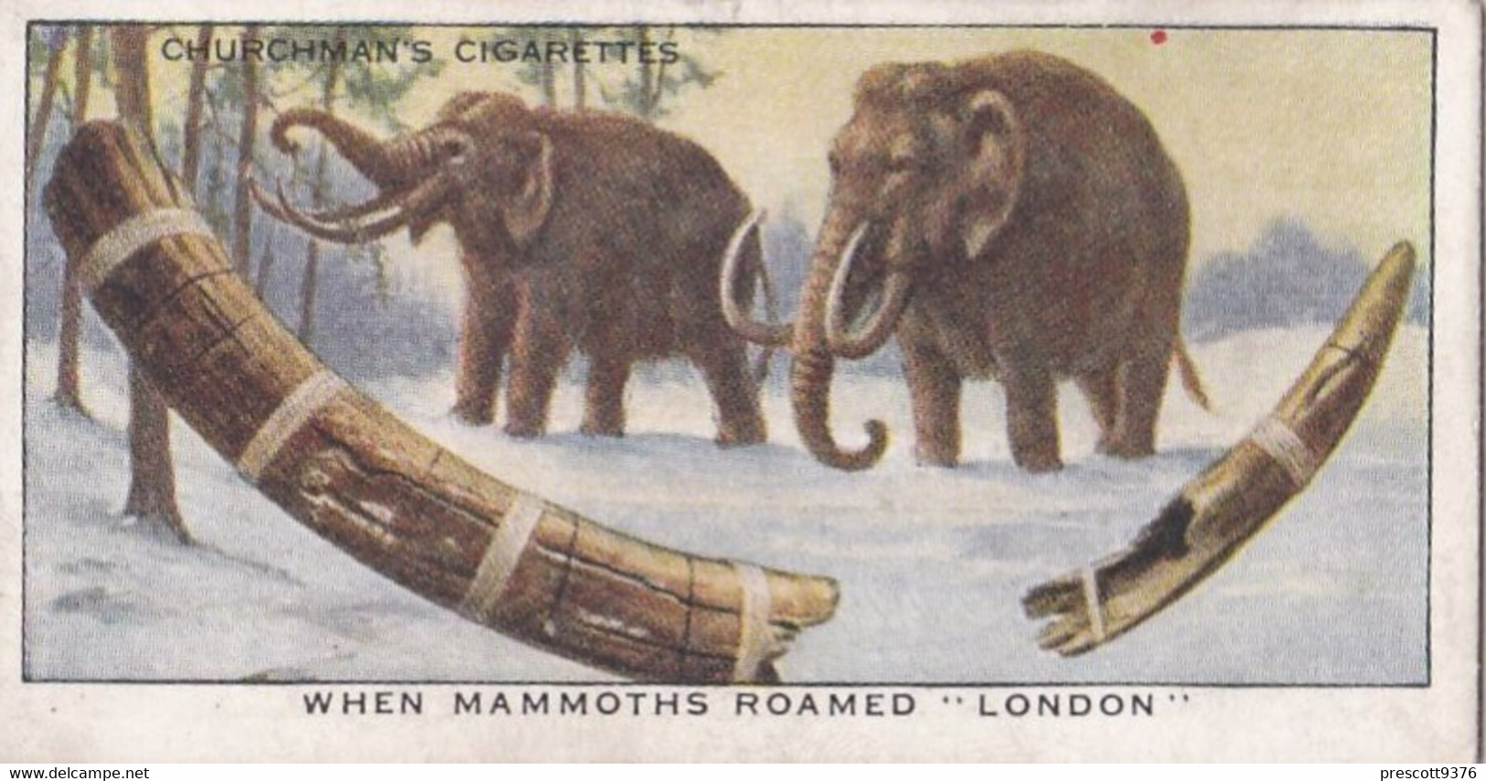 Treasure Trove 1937 - 1 When Mammoths Roamed London   - Churchman Cigarette Card - Original - - Churchman