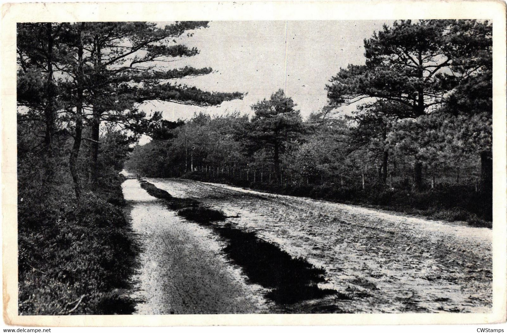 Epe   Landweg Bij De Hertekolk - Epe