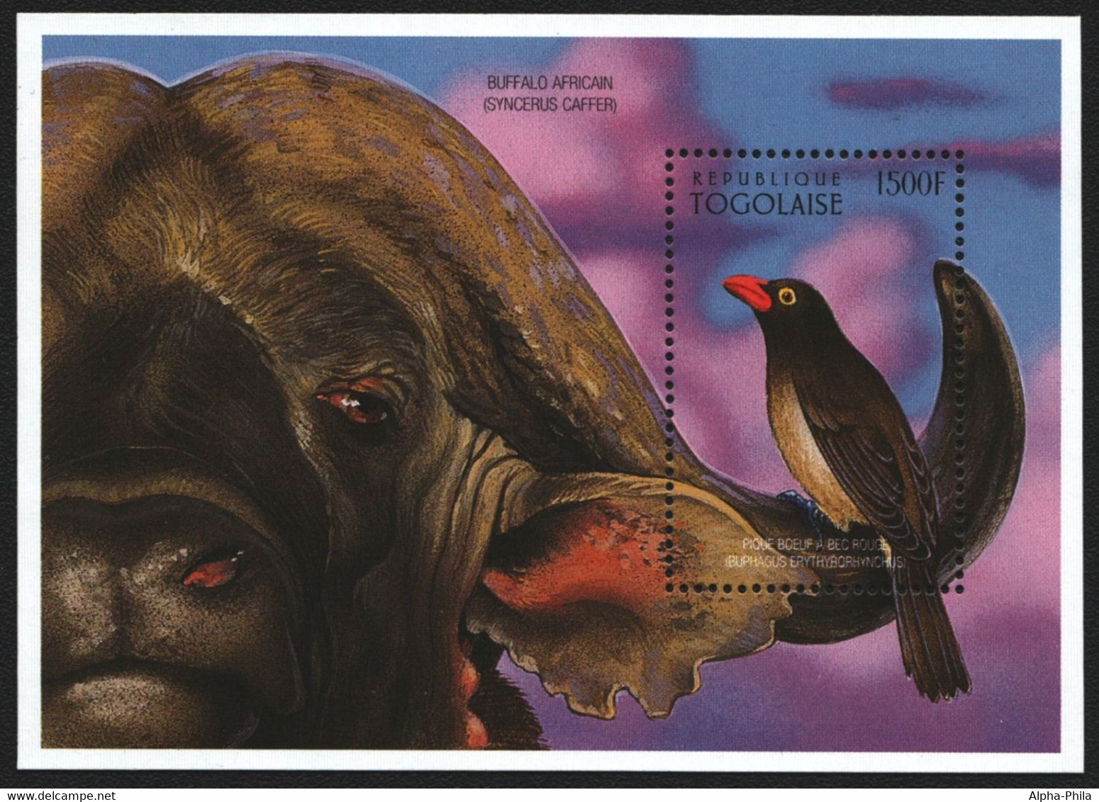 Togo 1996 - Mi-Nr. Block 398 ** - MNH - Vögel / Birds - Togo (1960-...)