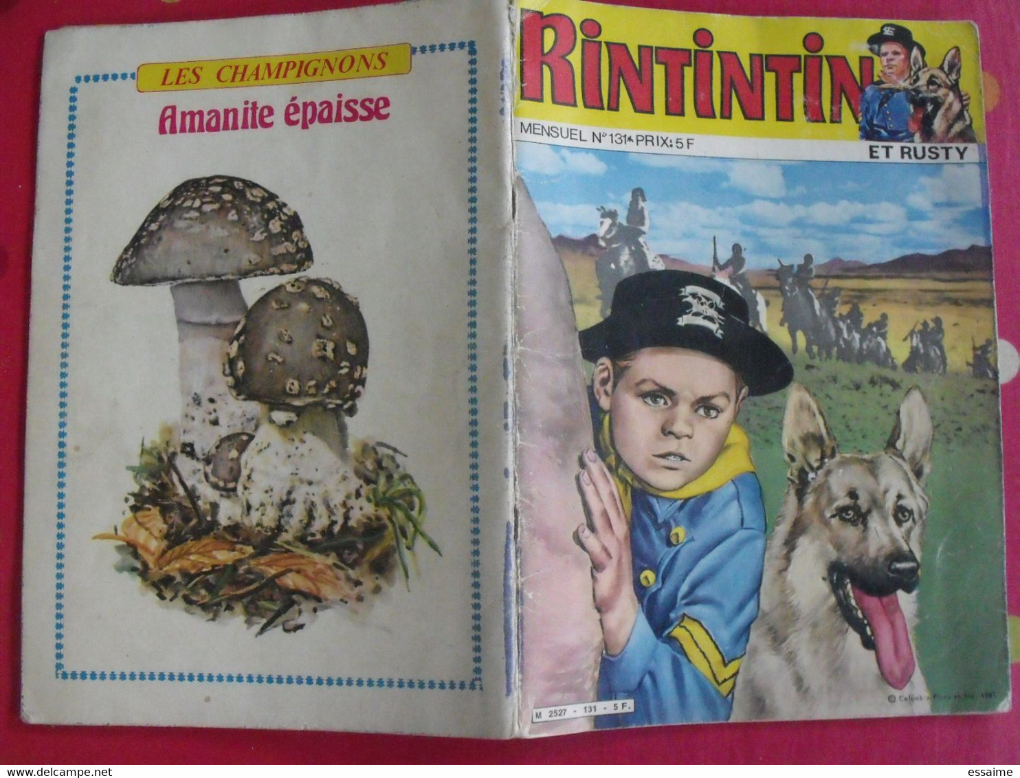 Revue BD Rintintin Et Rusty N° 131 De 1981. Les Robinsons De L'espace - Rintintin