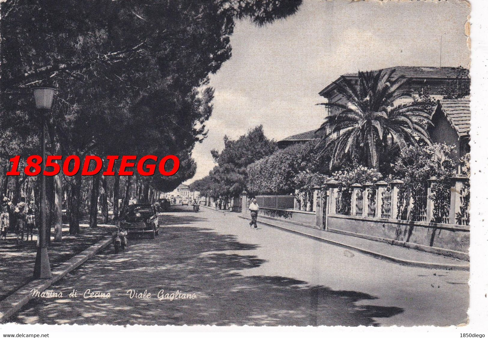 MARINA DI CECINA - VIALE GAGLIANO F/GRANDE VIAGGIATA 1960 ANIMAZIONE - Livorno