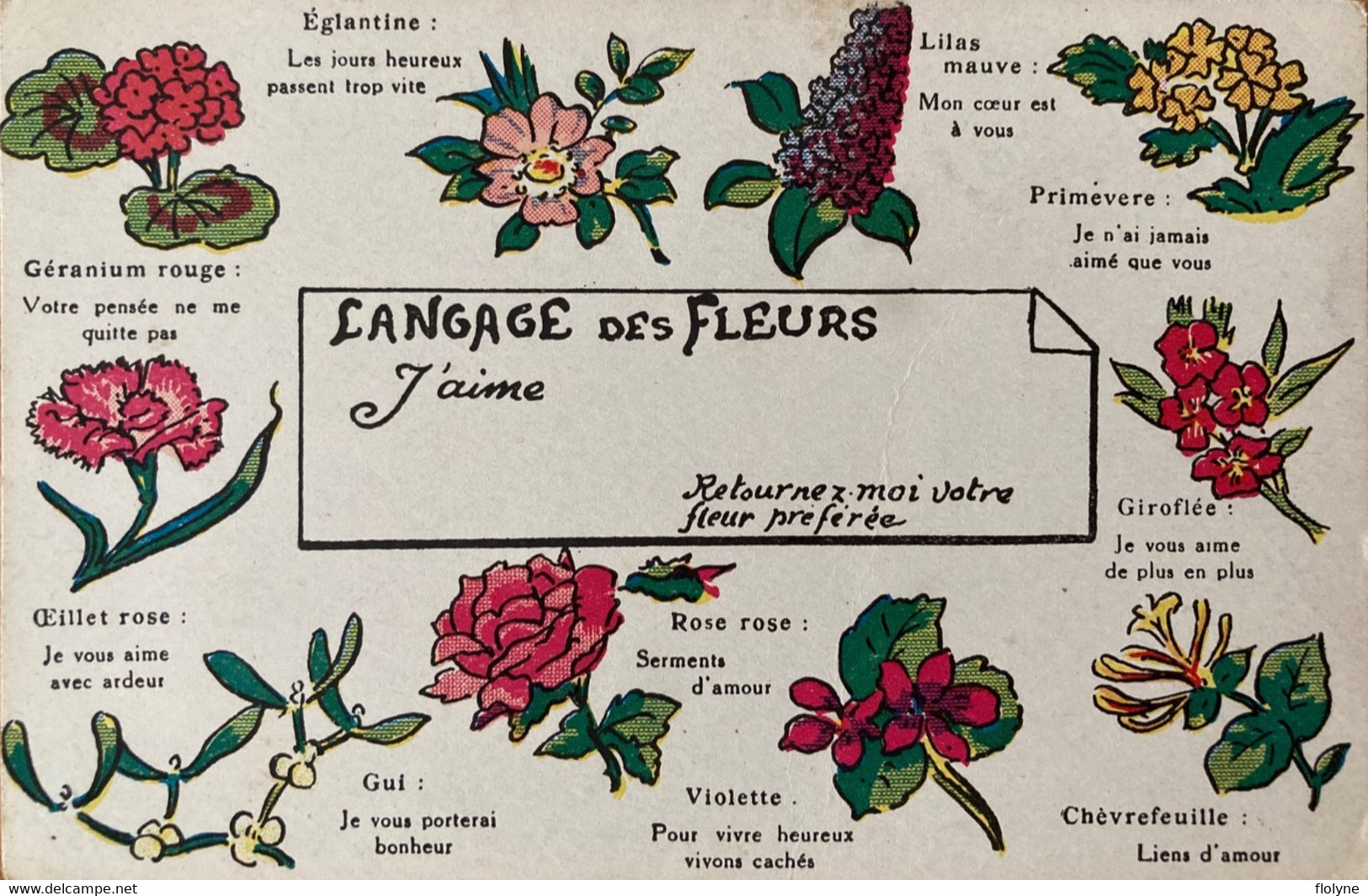 Fleur - Langage Des Fleurs - Flowers - Cpa Illustrateur - Flowers