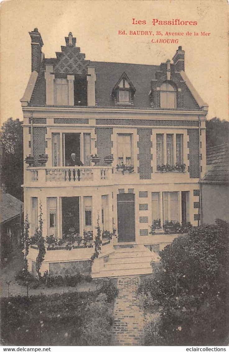 Cabourg         14          Villa: Les Passiflores .35 Avenue De La Mer          (voir Scan) - Cabourg