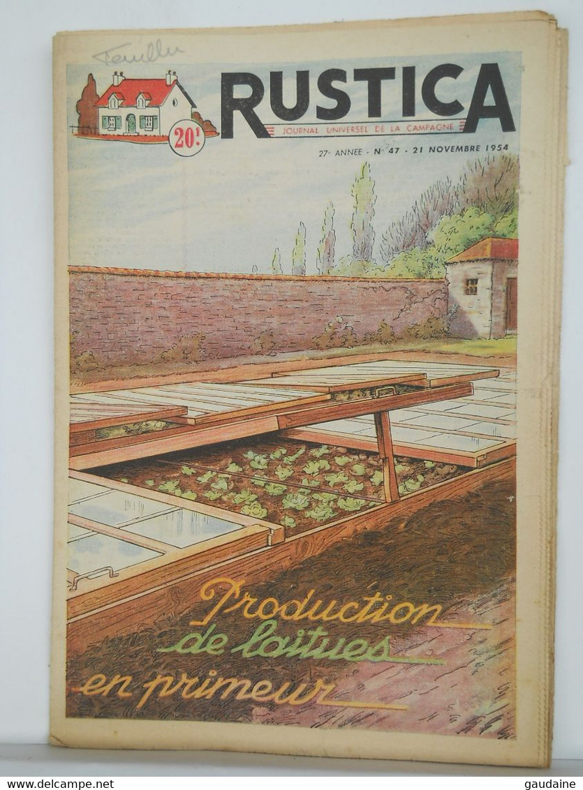 RUSTICA - JARDINAGE CHASSE PECHE BASSE-COUR ELEVAGE - N°47 De 1954 - LAITUES - Tuinieren