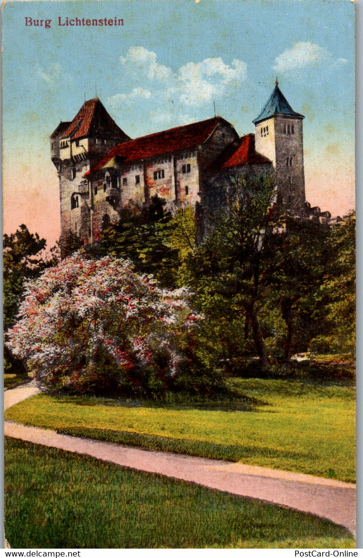 36030 - Niederösterreich - Maria Enzersdorf , Burg Lichtenstein , Liechtenstein - Gelaufen 1924 - Maria Enzersdorf