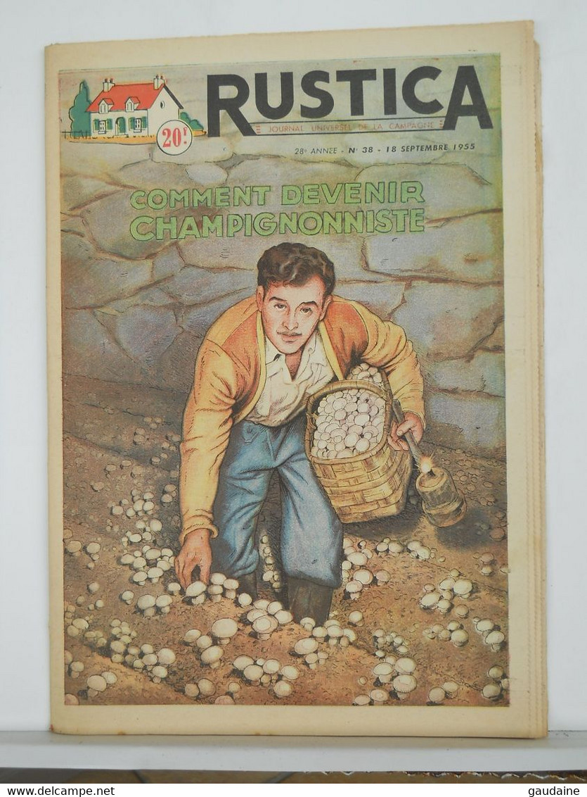 RUSTICA - JARDINAGE CHASSE PECHE BASSE-COUR ELEVAGE - N°38 De 1955 - CHAMPIGNONS - Jardinería