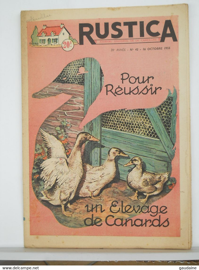 RUSTICA - JARDINAGE CHASSE PECHE BASSE-COUR ELEVAGE - N°42 De 1955 - ELEVAGE DES CANARDS - Jardinería