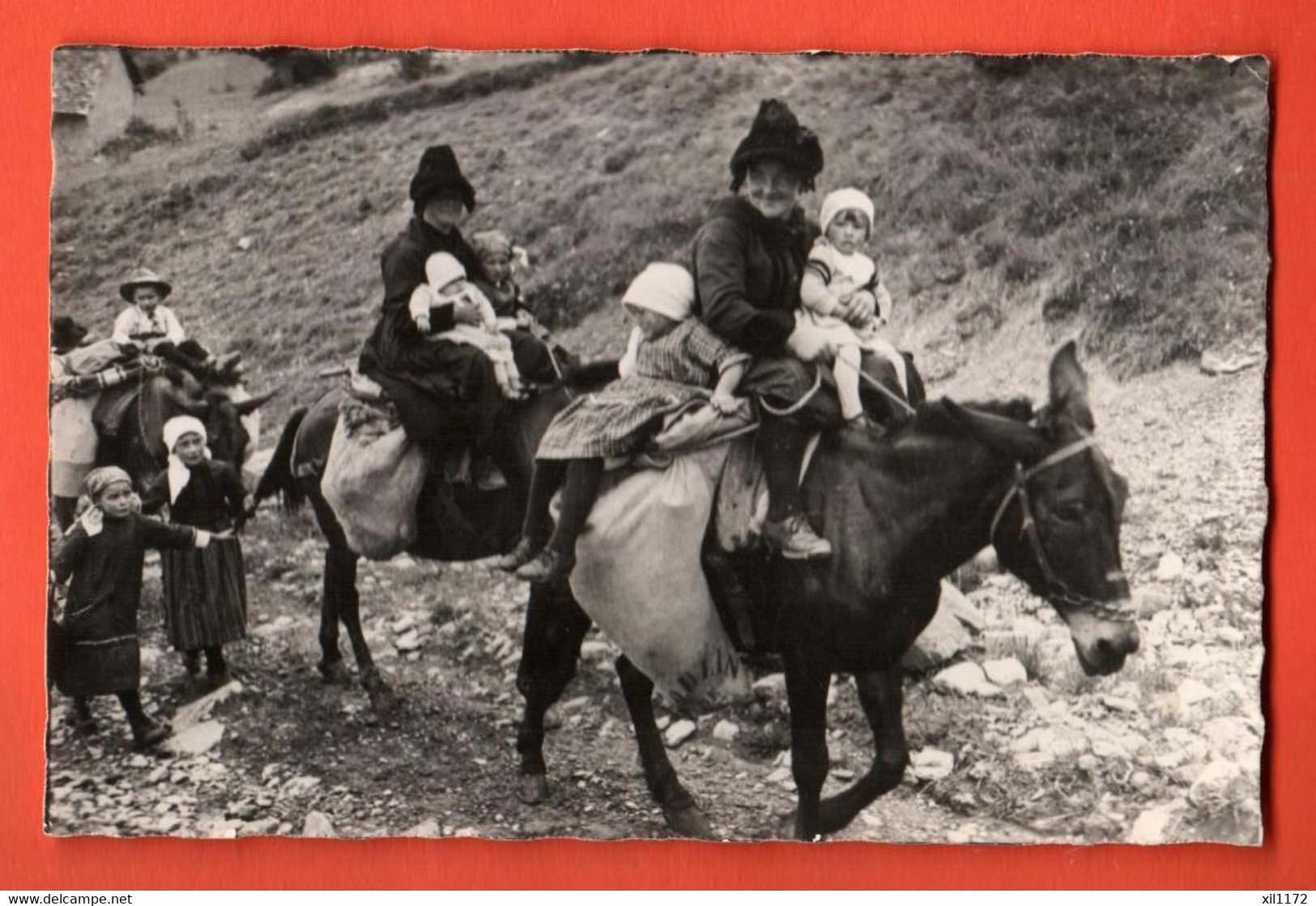 ZRB-35 Savièse Sur Sion, La Montée Aux Mayens. A Dos De Mulet. Maultier. TRES ANIME.  Circulé 1956 - Savièse