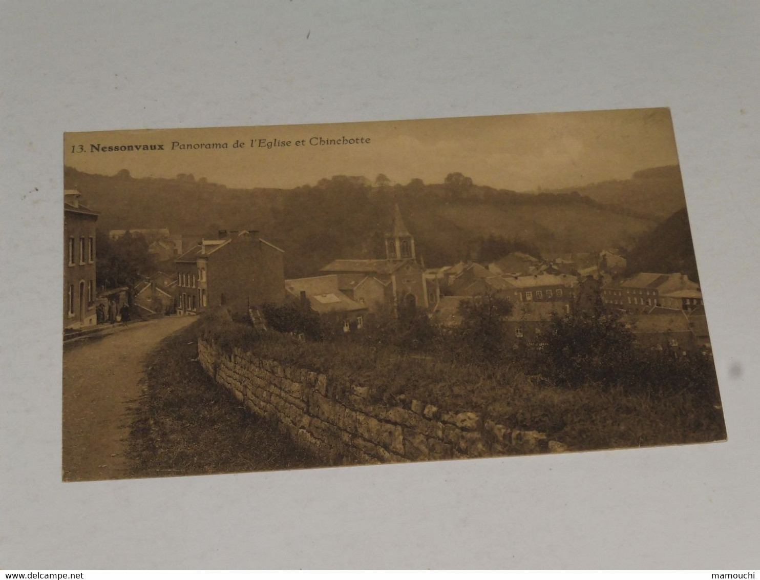 NESSONVAUX - Panorama De L'Eglise Et Chinchotte - Trooz