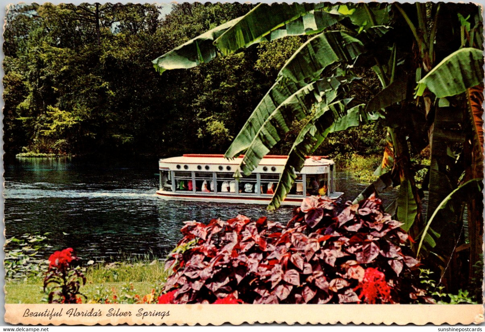 Florida Silver Springs Glass Bottom Boat - Silver Springs