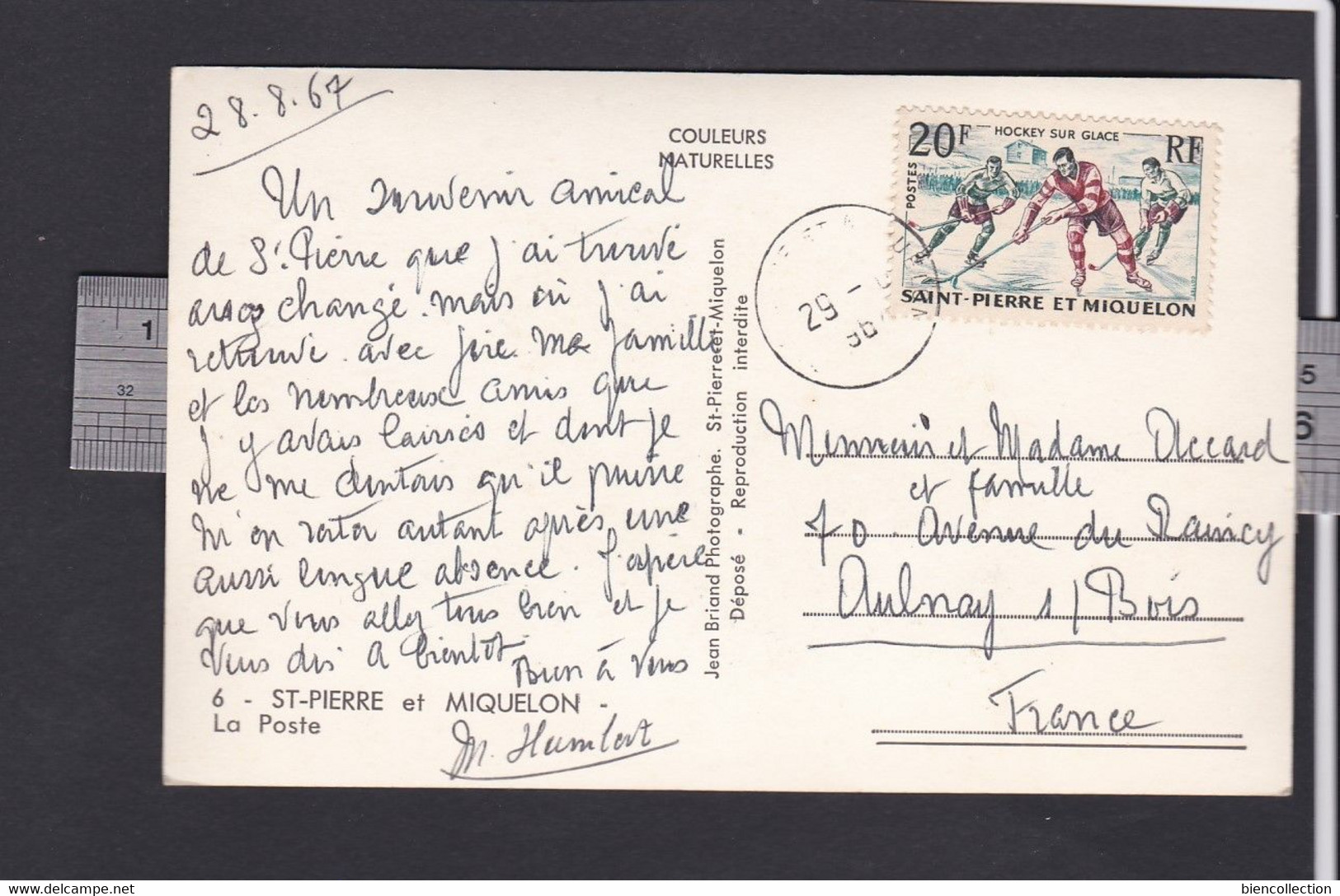 Saint Pierre Et Miquelon ; Hockey Sur Glace  Sur Carte Postale Bureau De Poste - Storia Postale