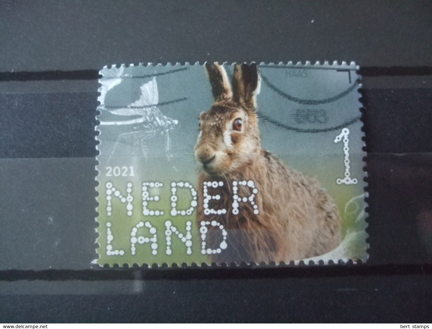 Nederland Beleef De Natuur Gebruikt 3930 Konijn - Used Stamps