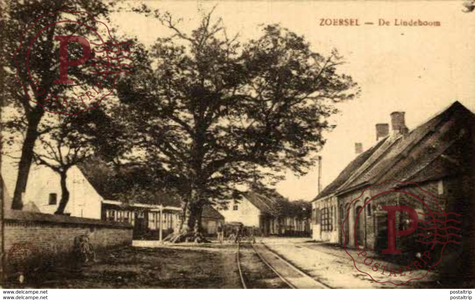 ZOERSEL - De Lindeboom  ANTWERPEN ANVERS - Zoersel