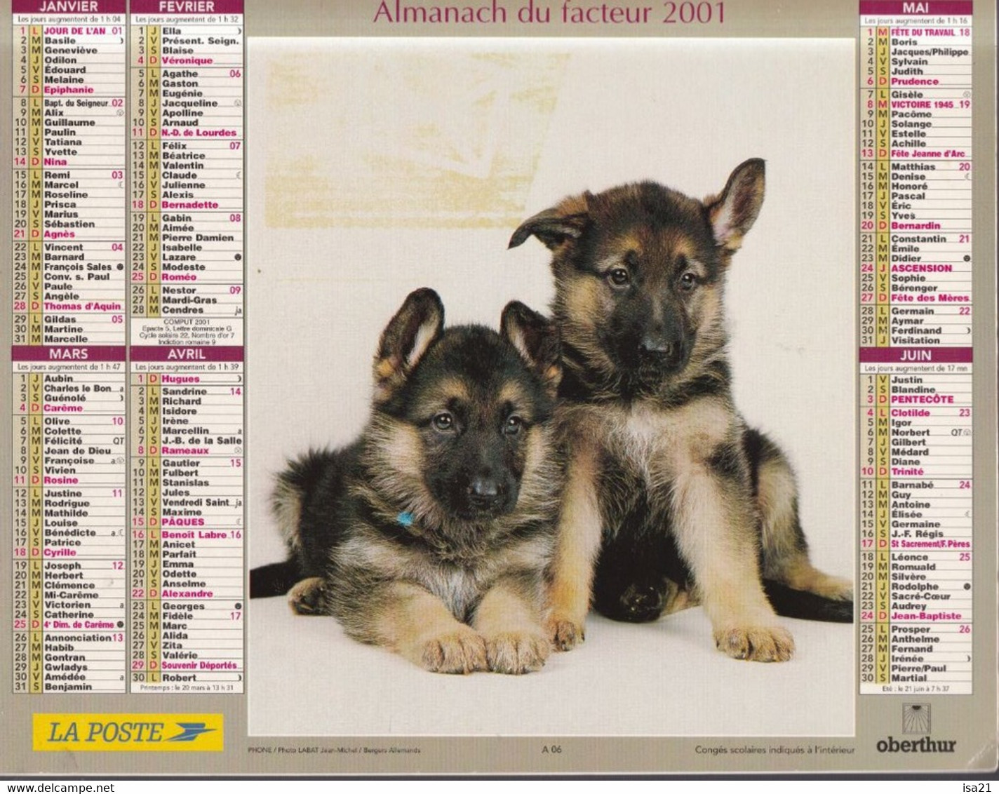 Calendrier De La Poste, Almanach Du Facteur: 2001, MEURTHE Et MOSELLE: West Highland Terriers, Bergers A  , Ed. Oberthur - Grand Format : 2001-...