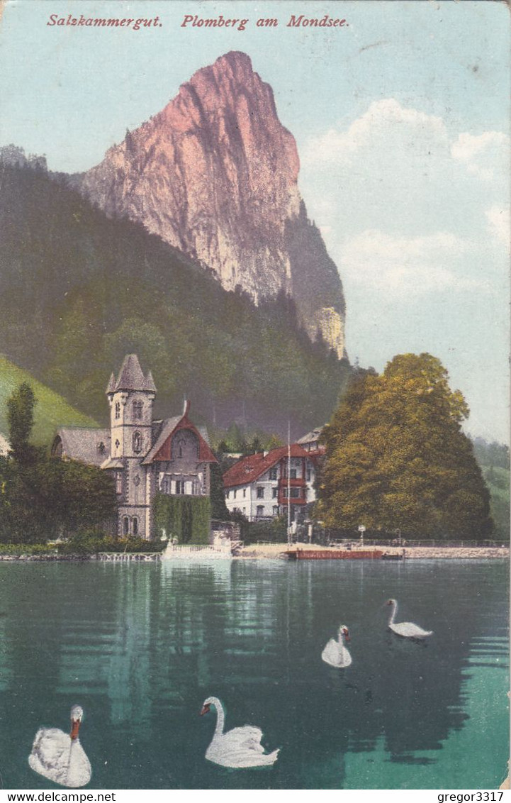 B4163) Salzkammergut PLOMBERG Am MONDSEE - Häuser U. Schwäne ALT ! 1925 - Mondsee