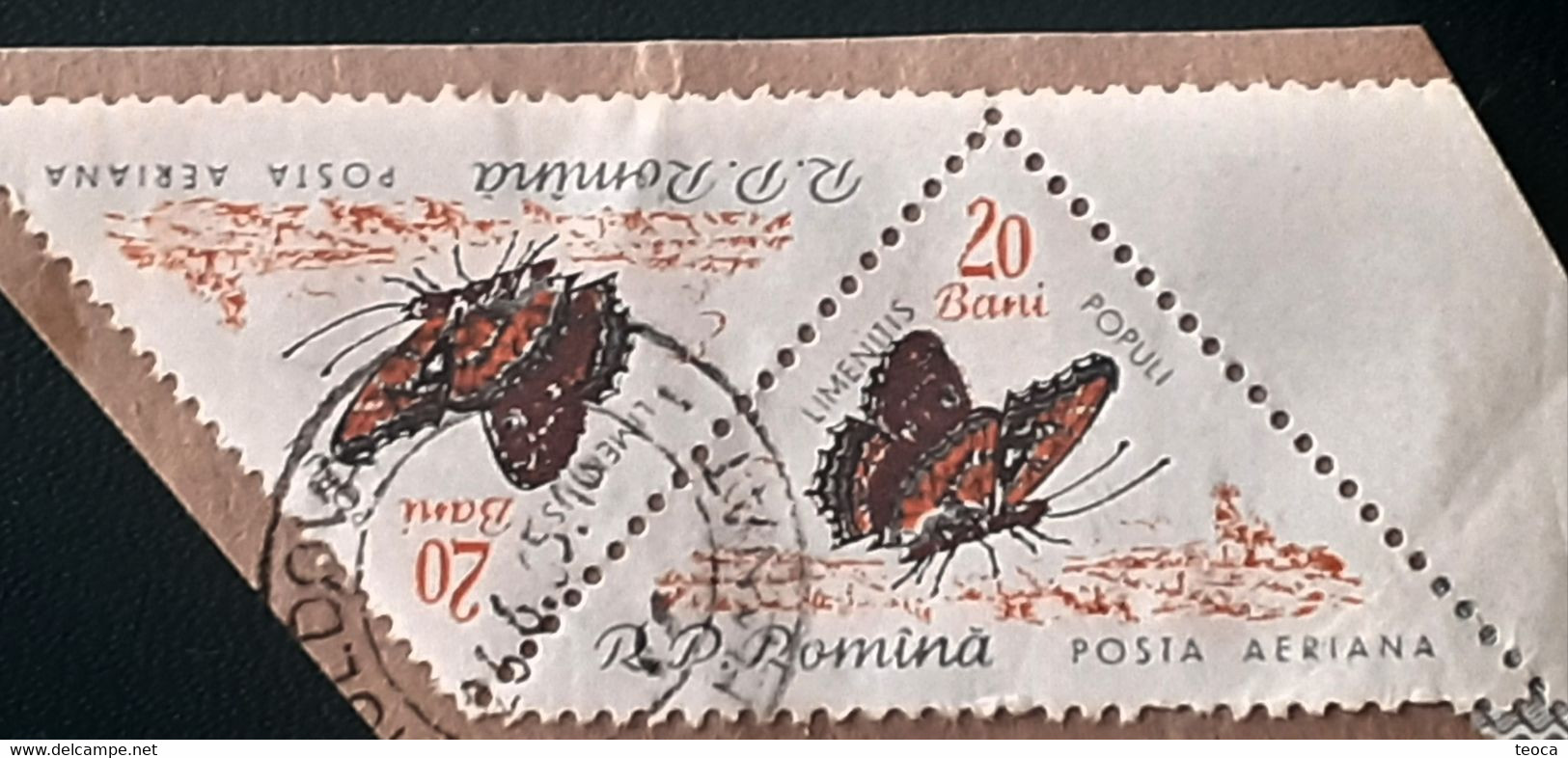 Errors Romania 1960 # Mi 1919  Color Printing Out Butterfly Wings  Used - Abarten Und Kuriositäten