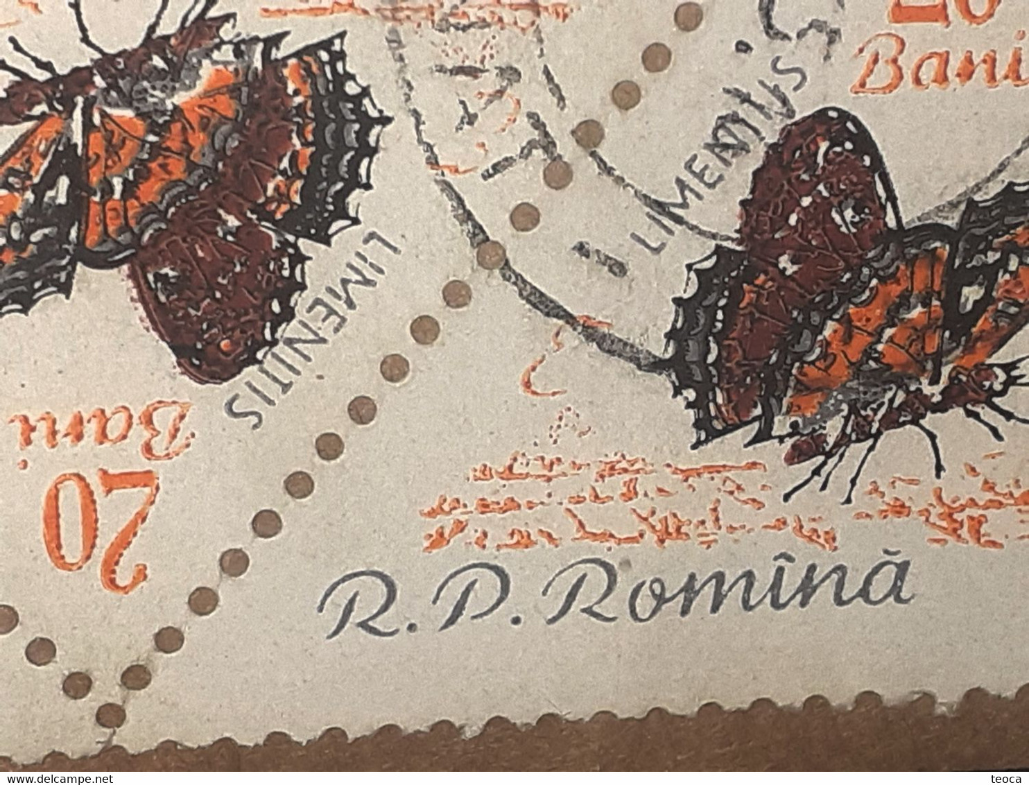 Errors Romania 1960 # Mi 1919  Color Printing Out Butterfly Wings  Used - Variétés Et Curiosités