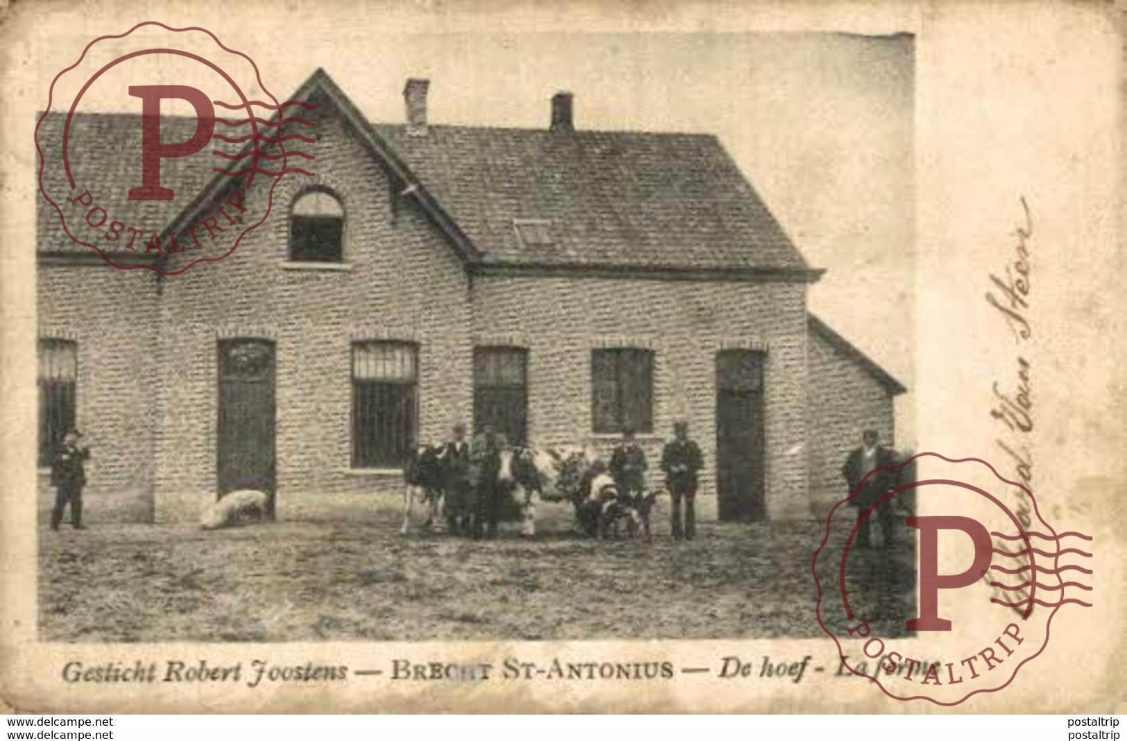 BRECHT GESTICHT ROBERT JOOSTENS BRECHT ST ANTONIUS DE HOEF LA FERME  ANTWERPEN ANVERS - Brecht