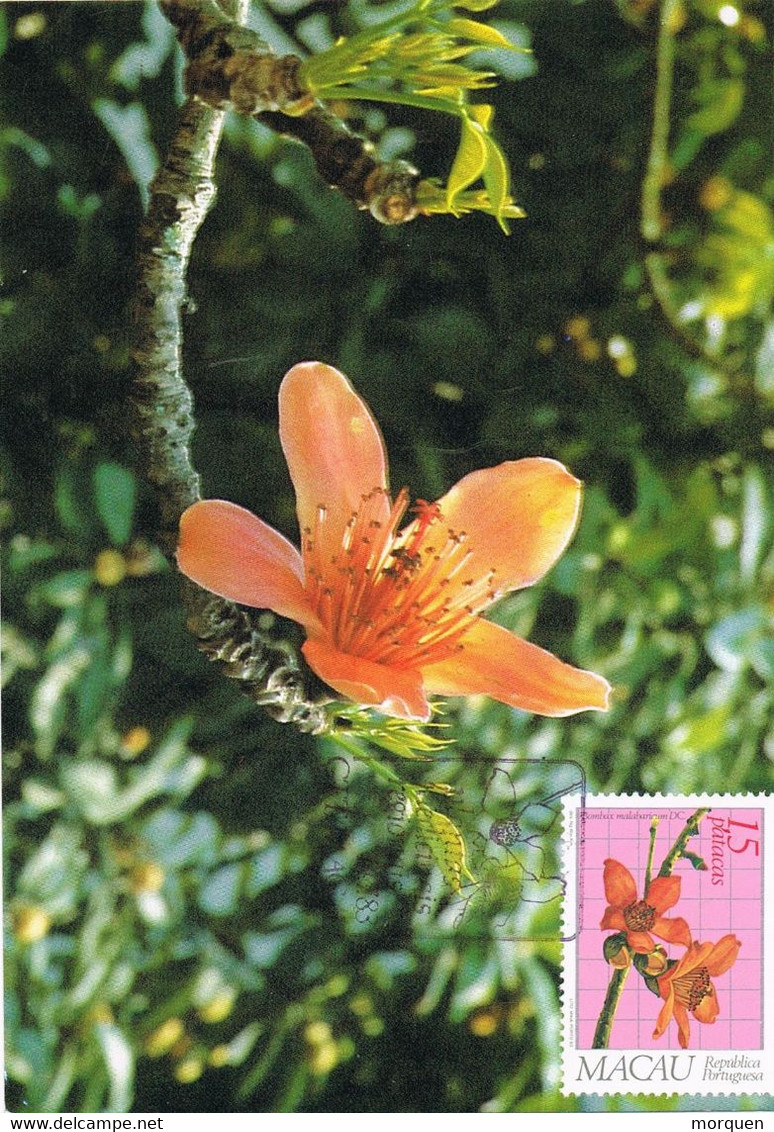 45716. Tarjet Maxima MACAU, Republica Portuguesa 1983. Bombax Flores, Flowers - Maximumkarten