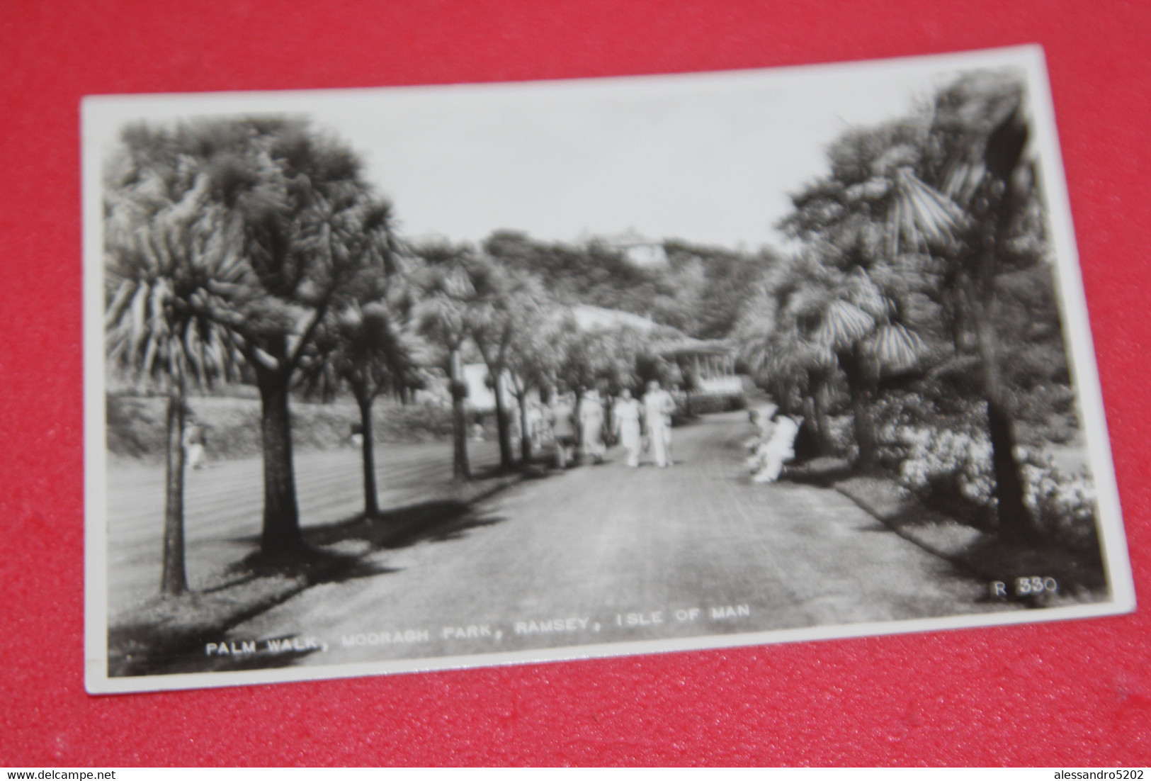 IOM Ramsey Mooragh Park Palm Walk 1956 - Isle Of Man