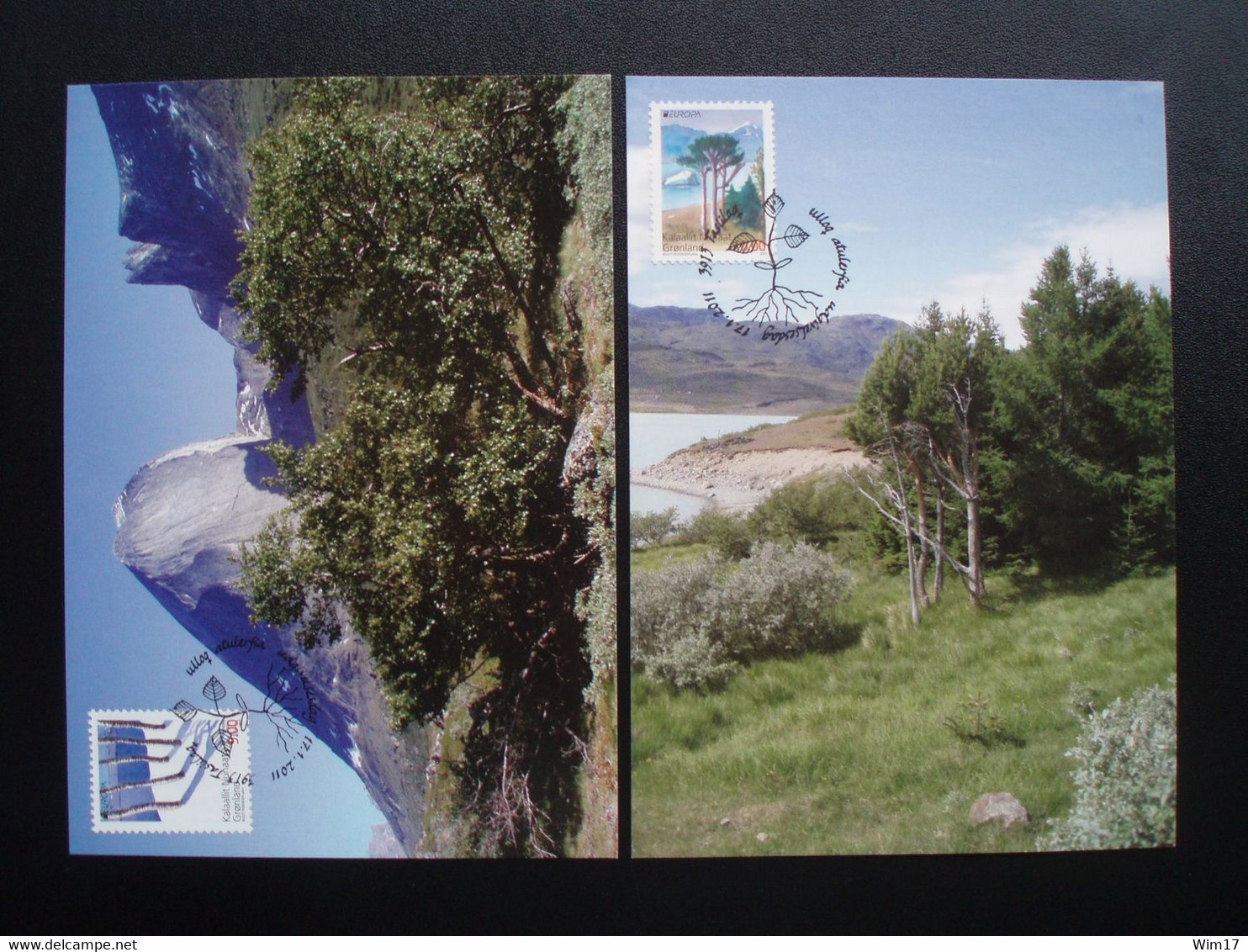 GREENLAND 2011 EUROPA CEPT SET OF 2 MAXIMUM CARDS GRONLAND GROENLAND - Cartoline Maximum
