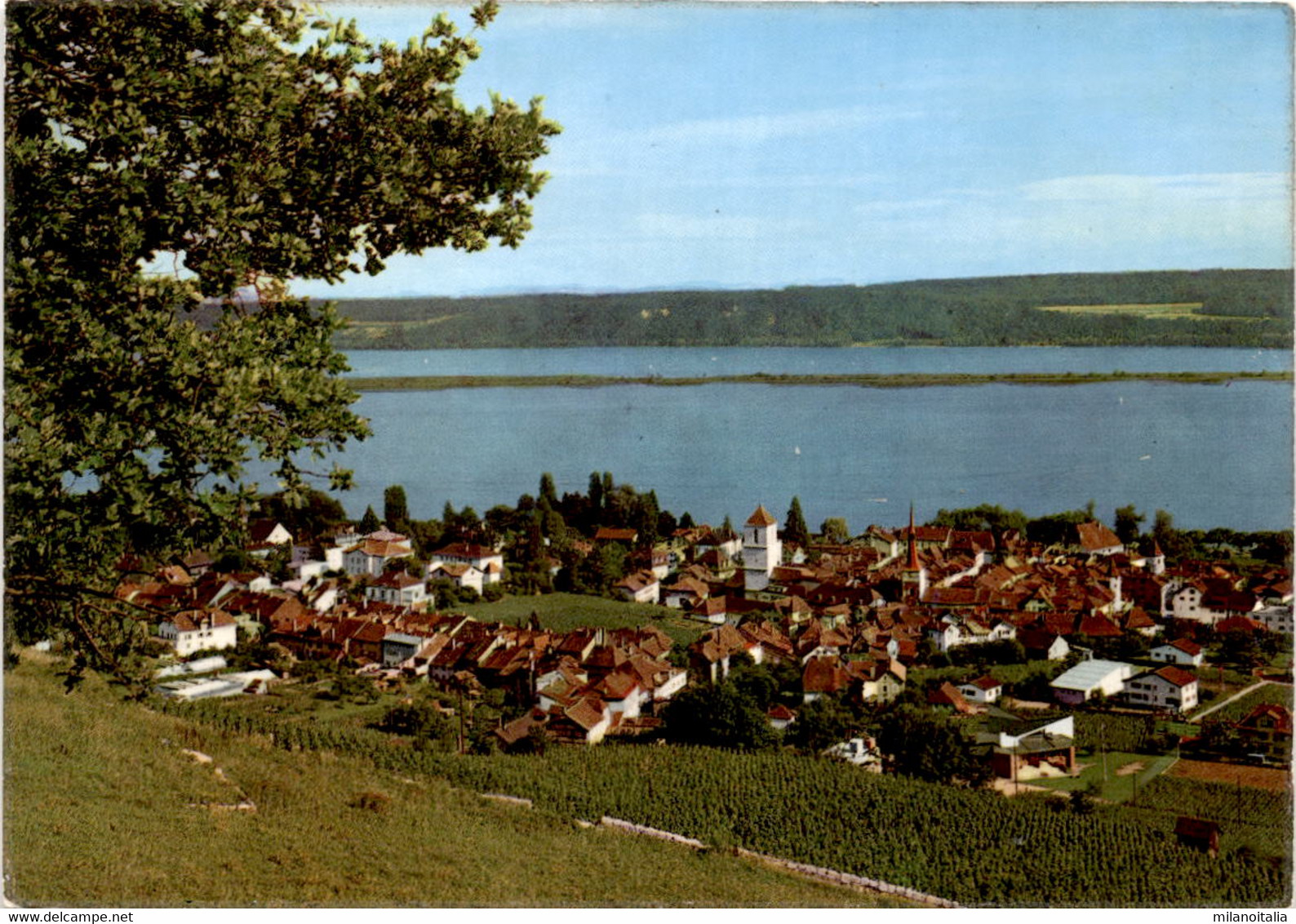 La Neuveville - Vue Generale (5044) * 30. 9. 1964 - La Neuveville