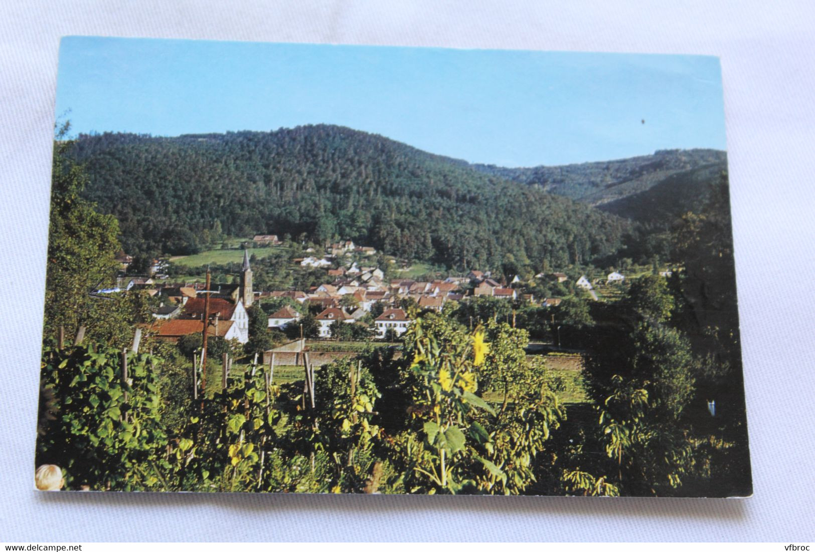 Cpm 1975, Schirmeck, Muhlbach Sur Bruche, Vue Générale, Bas Rhin 67 - Schirmeck