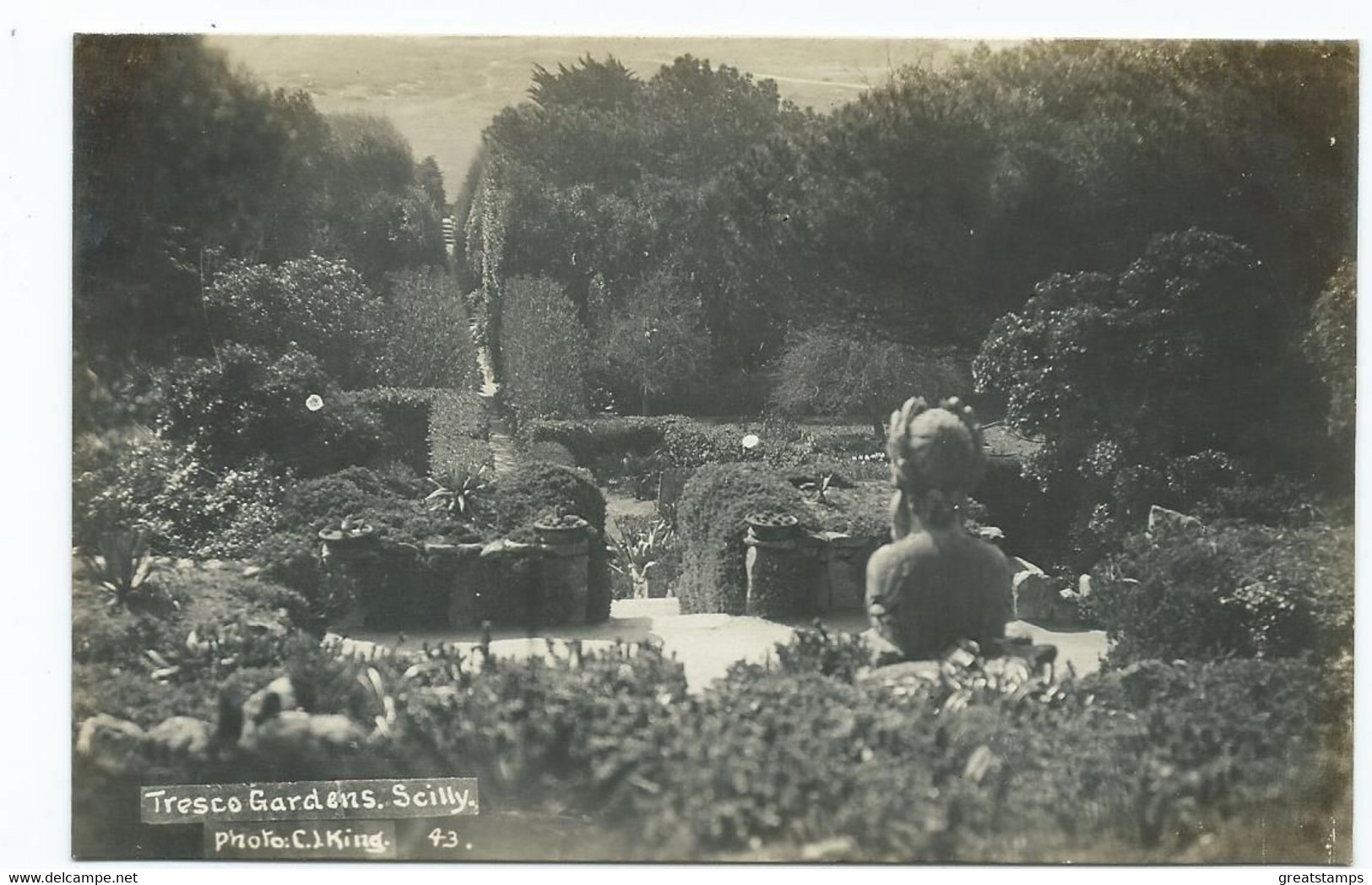 Postcard Rp Scilly Isles G.j.king Tresco Gardens Rp 43. Original - Scilly Isles