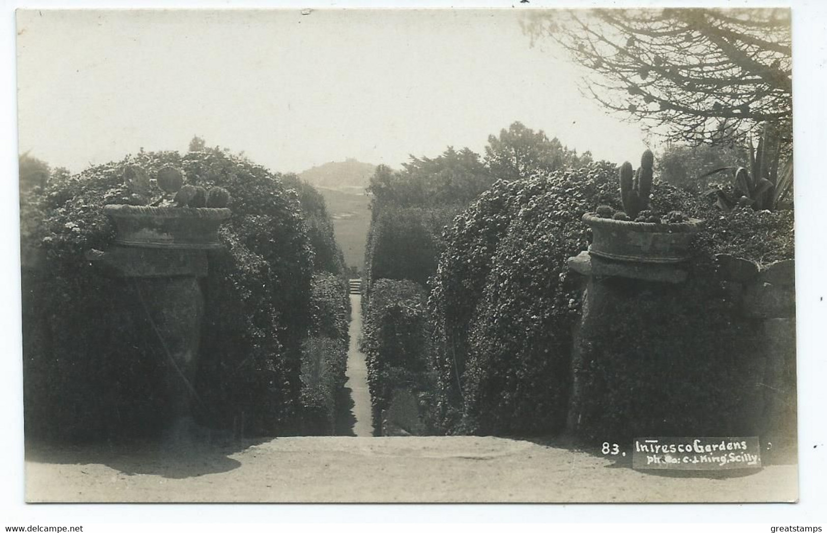 Postcard Rp Scilly Isles G.j.king In  Tresco Gardens Rp 83. Original - Scilly Isles