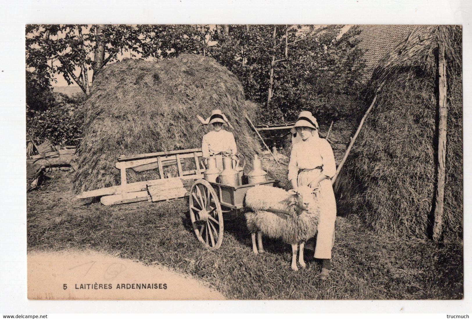 Laitières Ardennaises - Attelage De Mouton  *Edit. Hôtel De La Salm F Gengoux*(Trois-Ponts) - Attelages