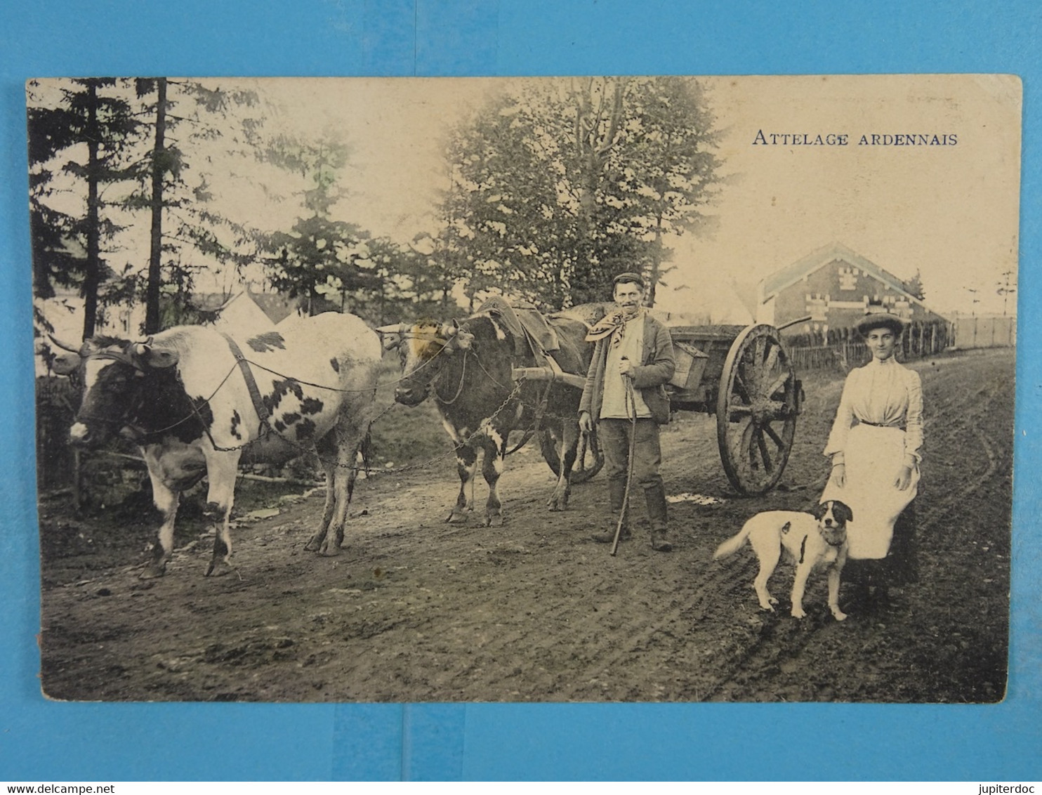 Attelage Ardennais (Marcovici) - Paysans