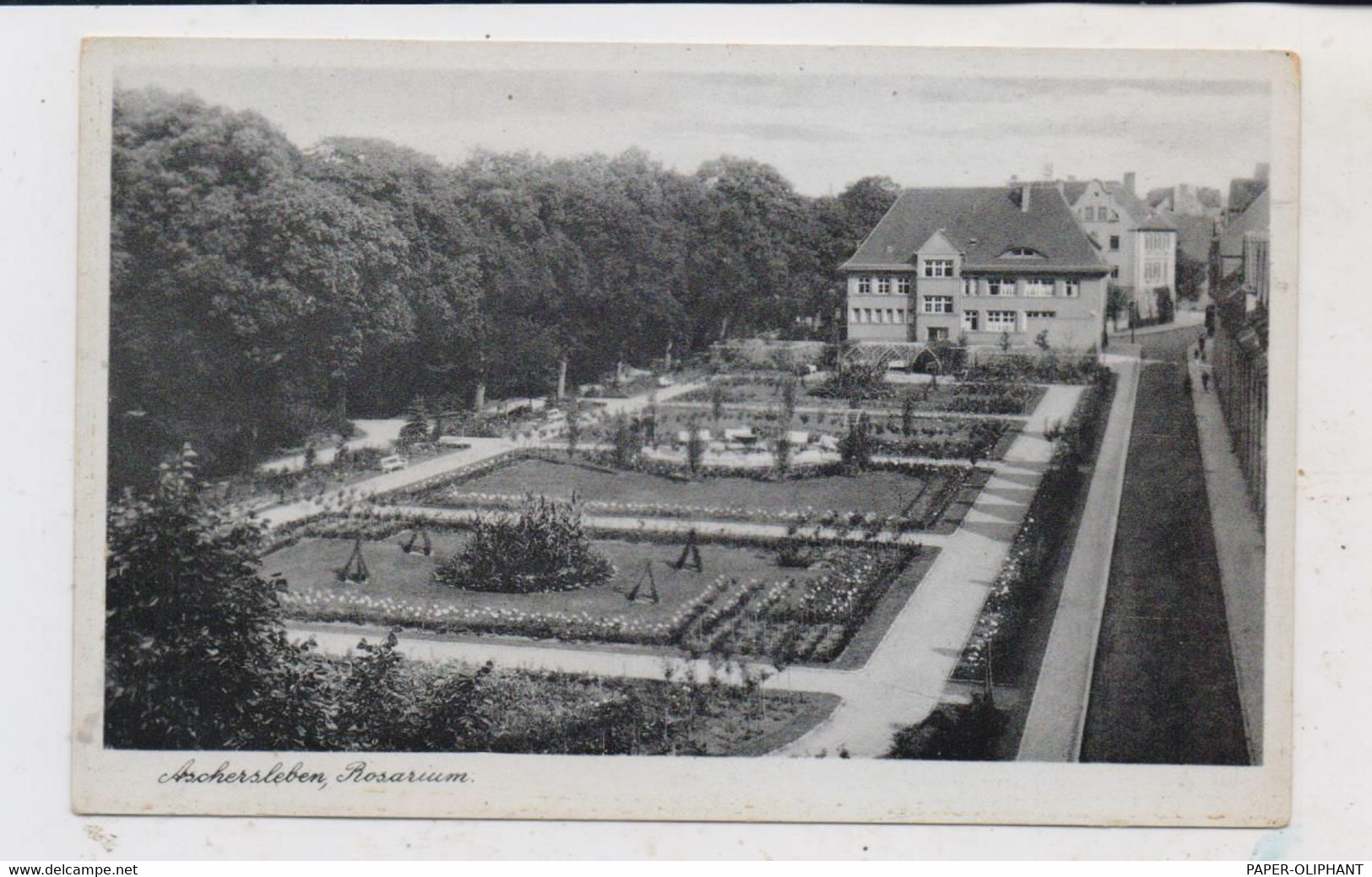 0-4320 ASCHERSLEBEN, Rosarium - Aschersleben