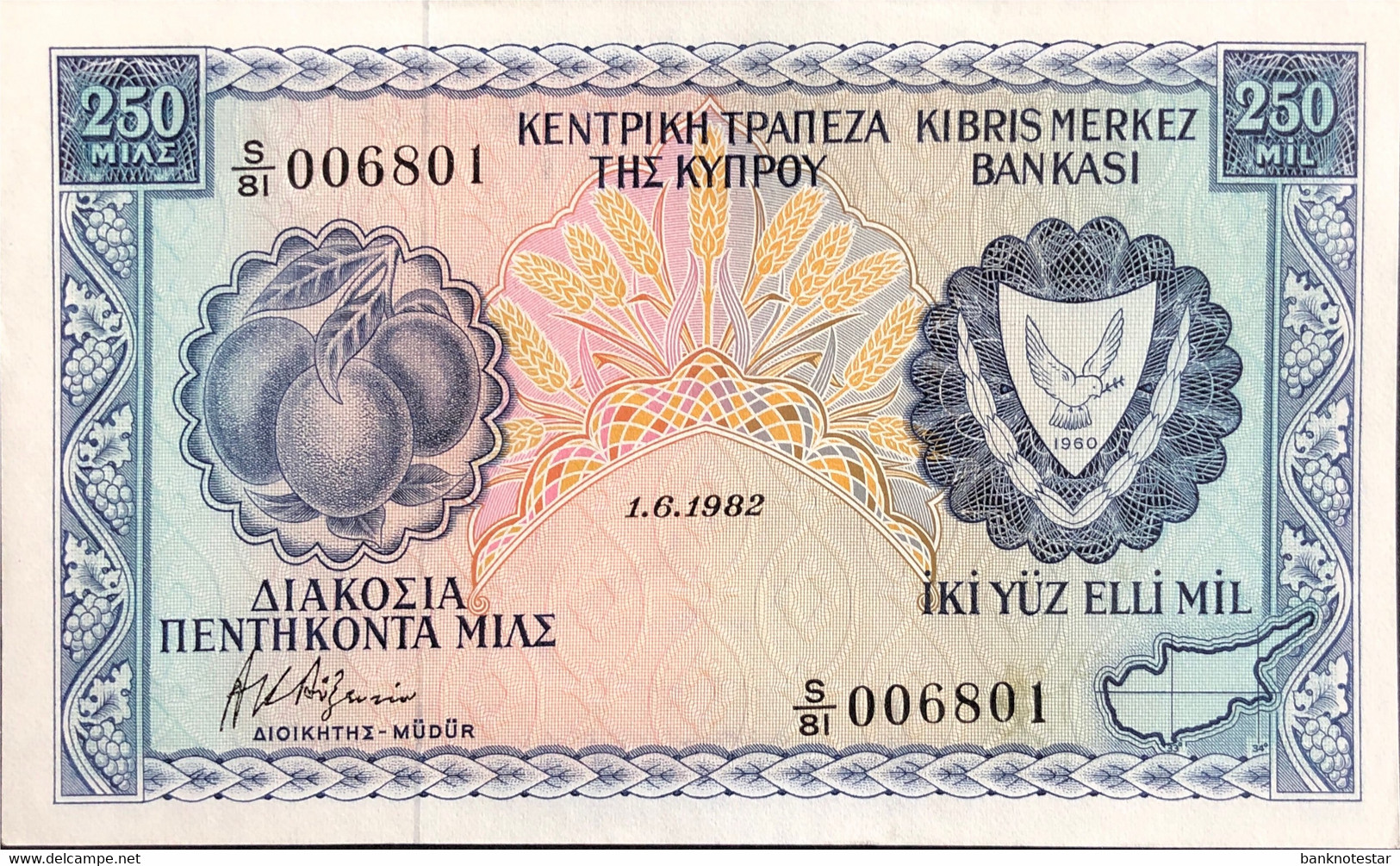 Cyprus 250 Mils, P-41c (1.6.1982) - UNC - Chypre